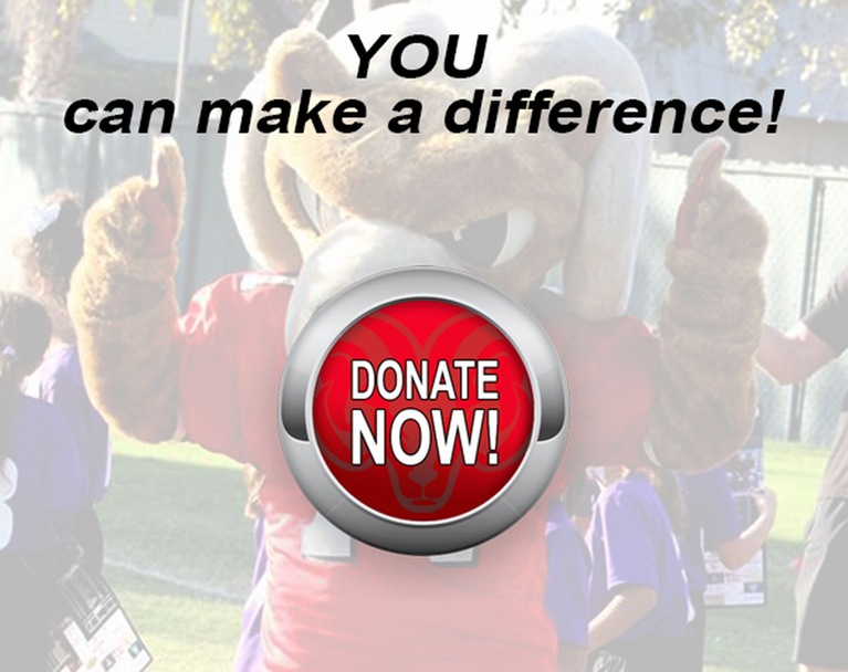 FCC Athletics Launches New Website Donation Tool